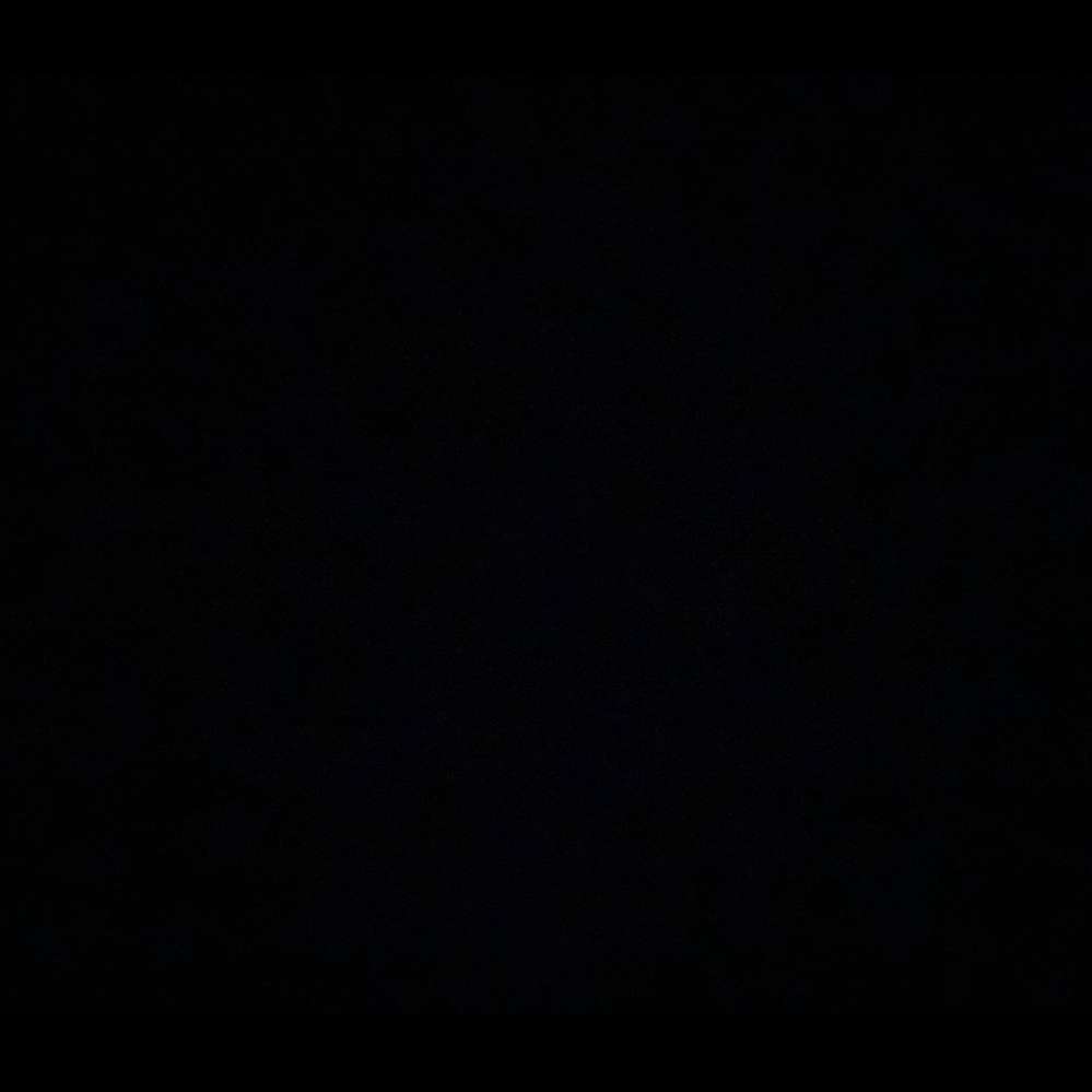 Filterforellie's profile picture