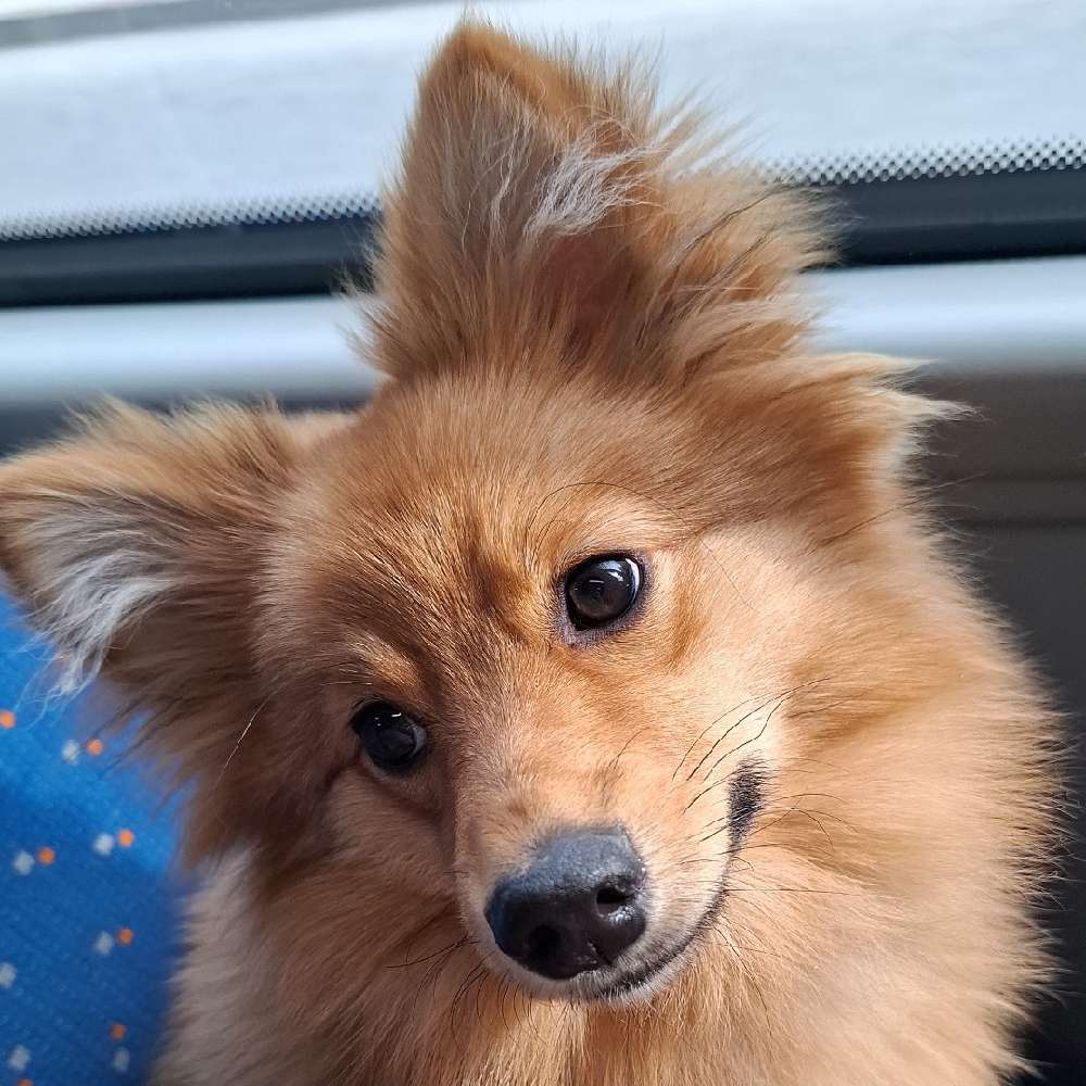 paigeparkerrrr's profile photo