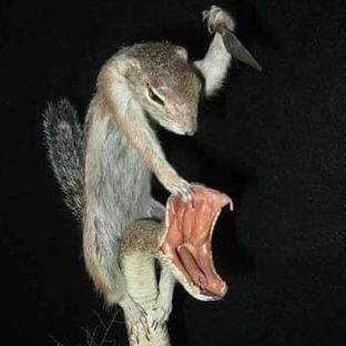 Renzolawrence77's  profile picture