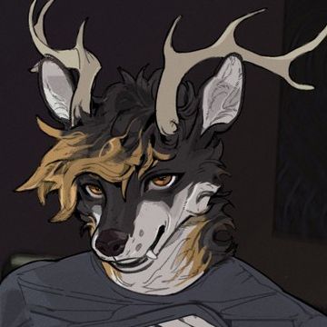 Corvus95's  profile picture