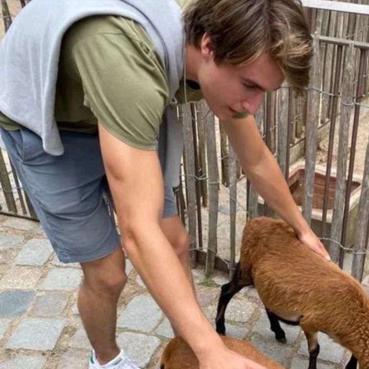 viktor284's  profile picture