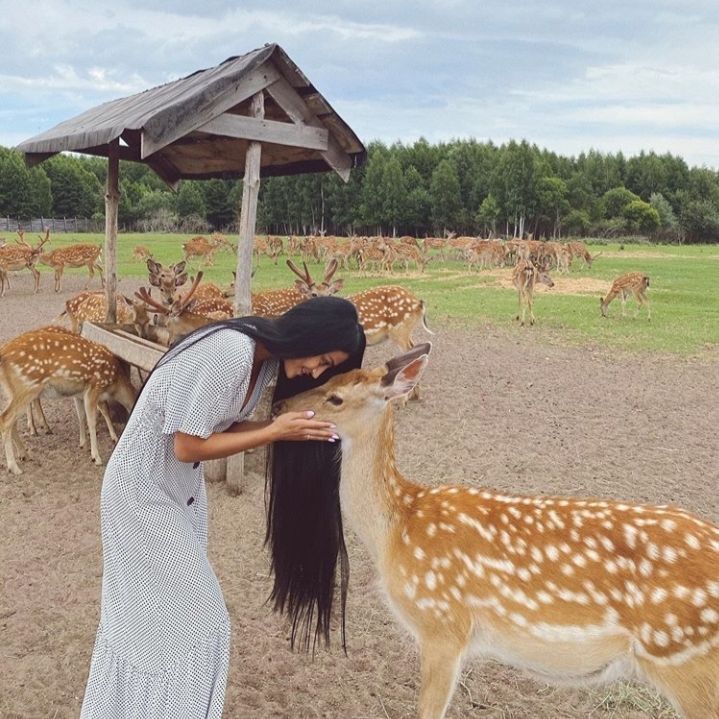 nafeesahkhan12's profile photo