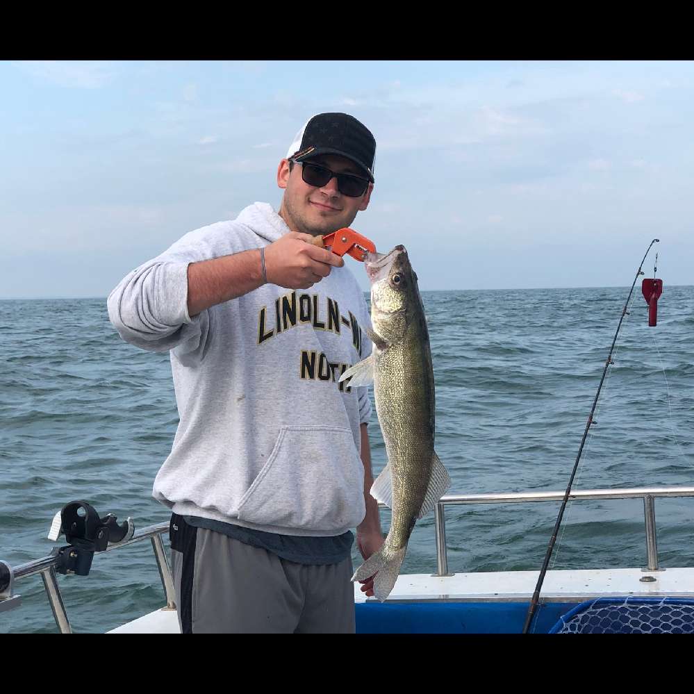 Mattcolewelther's profile picture