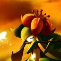 lezlisie0140's  profile picture
