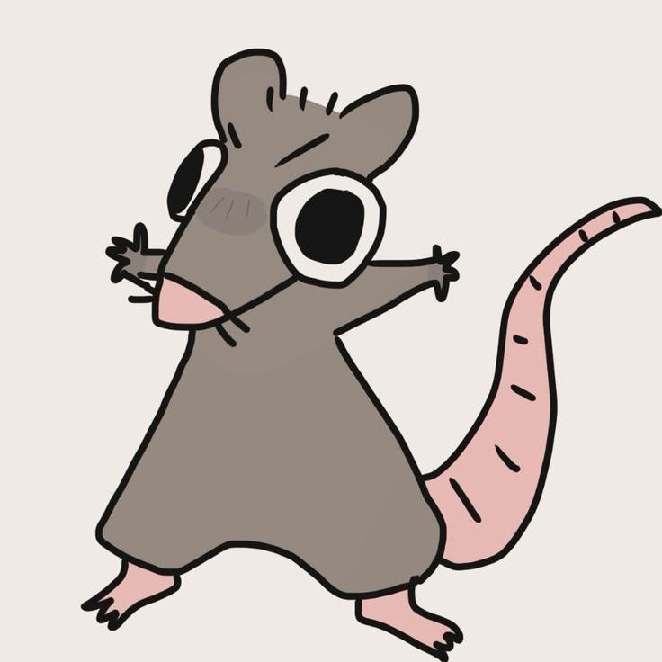 Duckyduck447's  profile picture