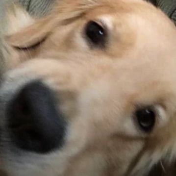 Toni_Rantom's  profile picture