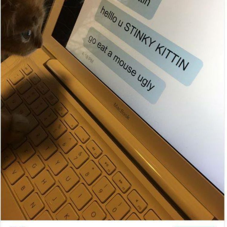 popstar's  profile picture