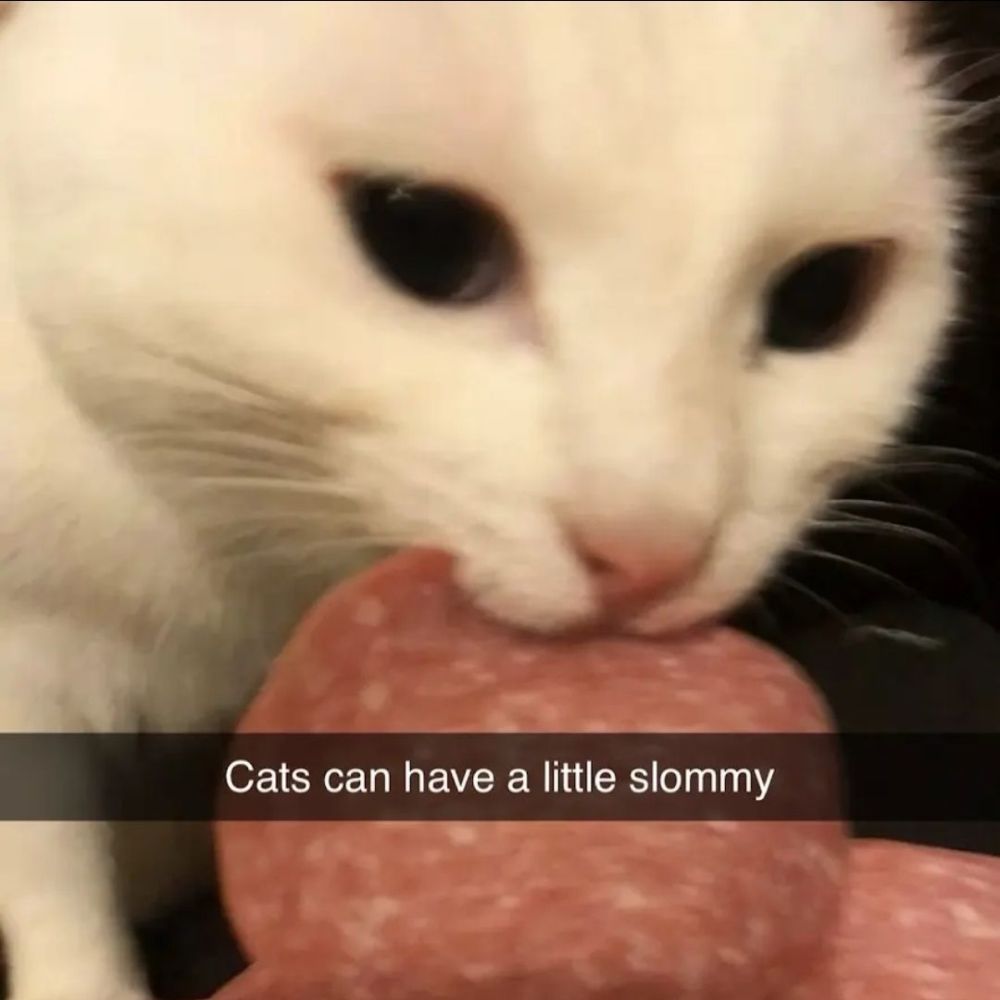 Coppermerchant's  profile picture