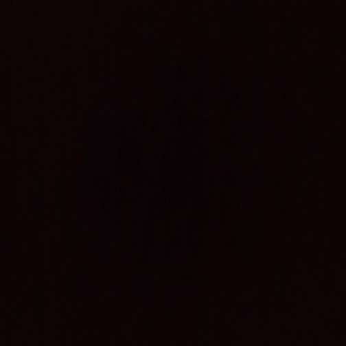 Evexlyn00's  profile picture