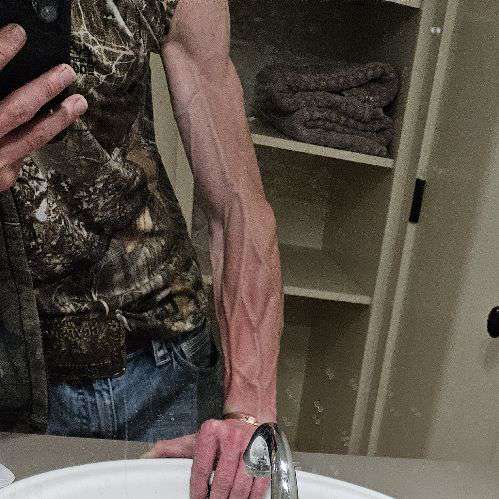 Ryndecald's profile picture