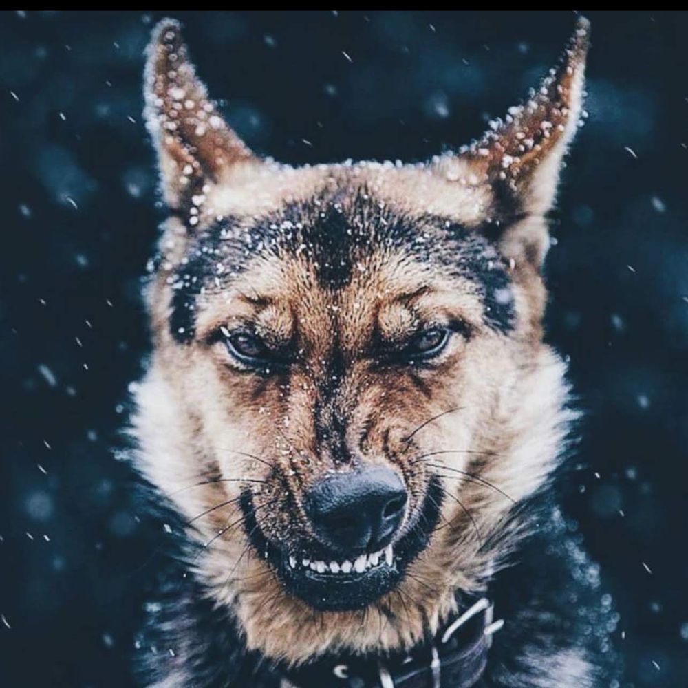 ApexScorpio78's  profile picture