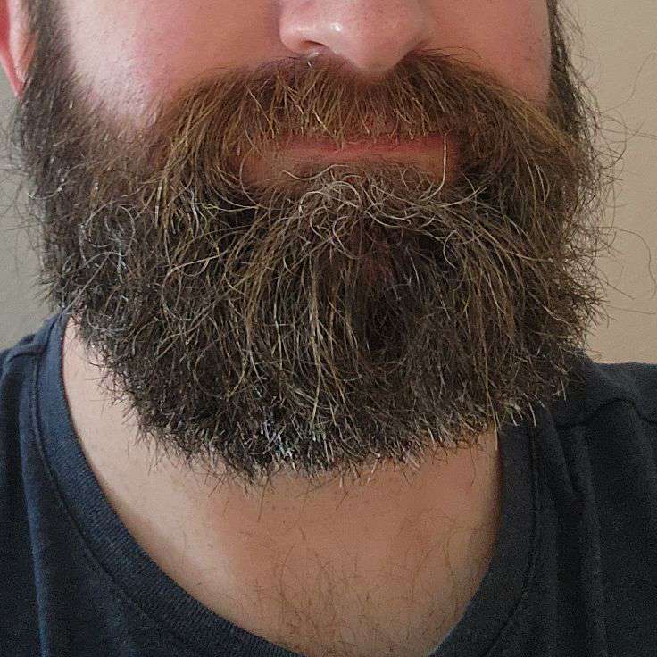 BigBeardM's  profile picture