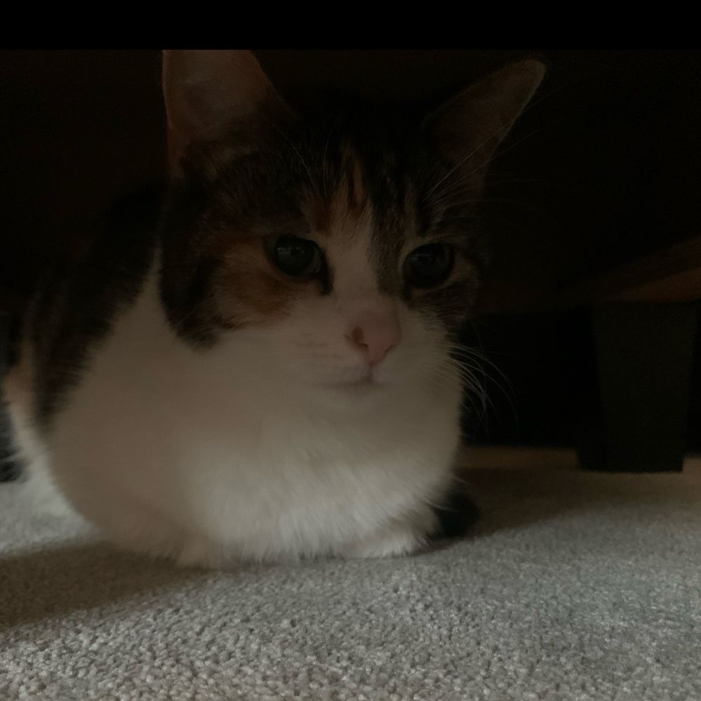 AIextramln's  profile picture