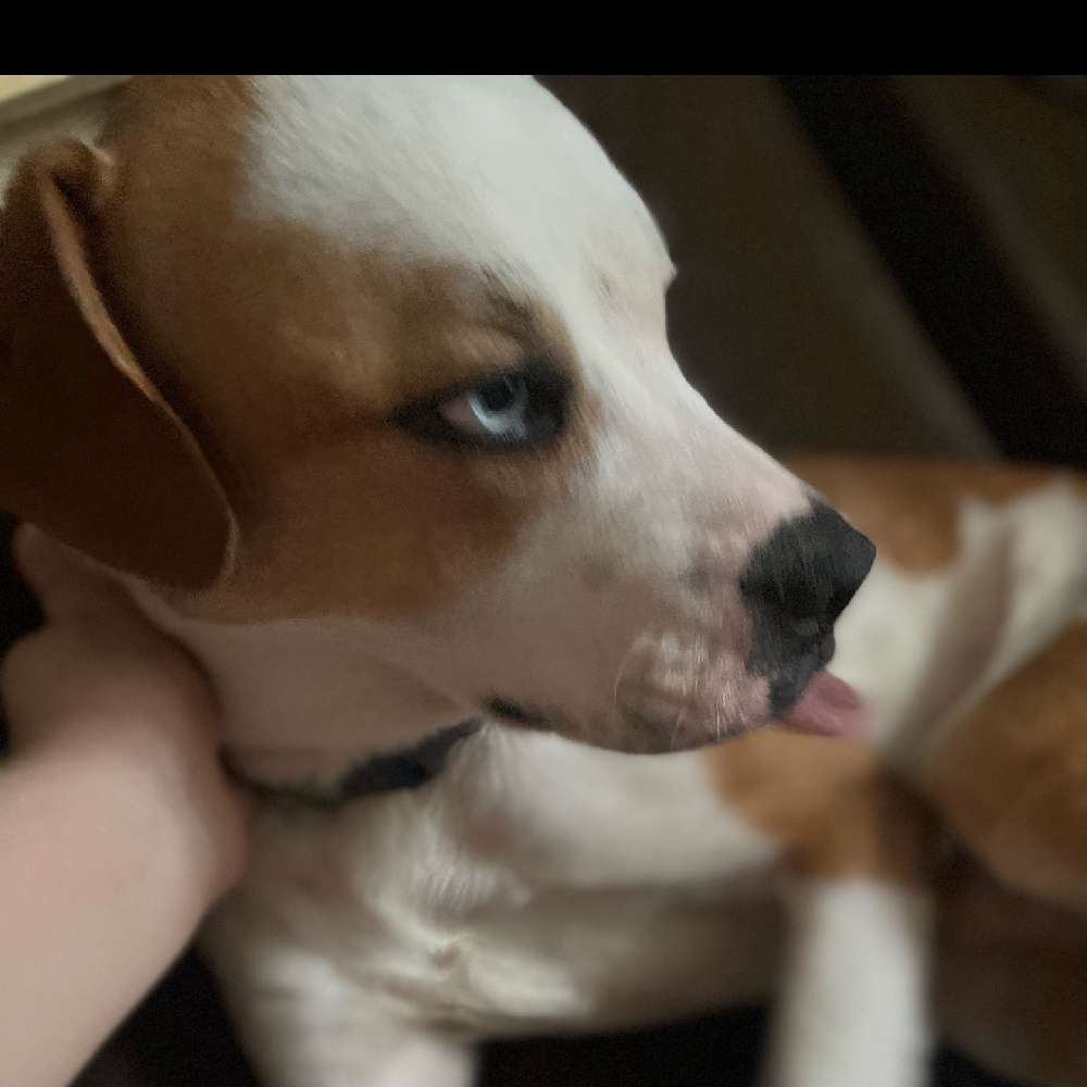 Bigmoneyandy's  profile picture