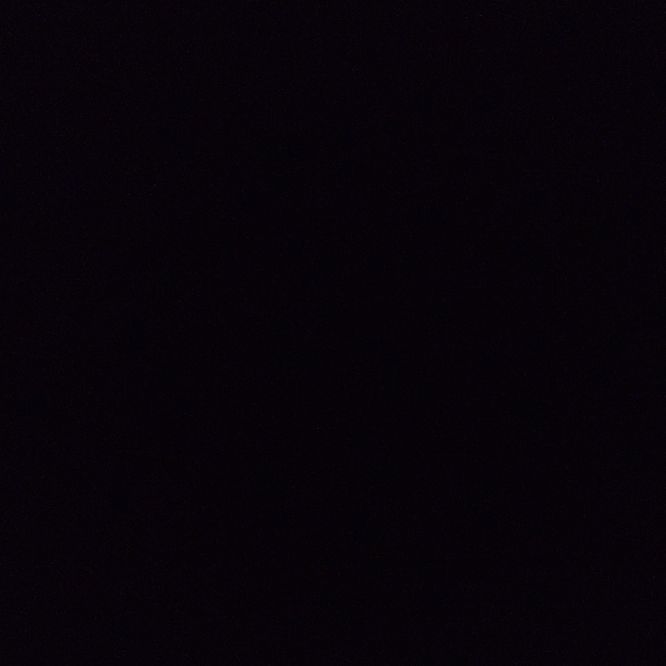 nflandy's profile photo