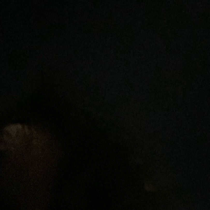 backuyu's  profile picture