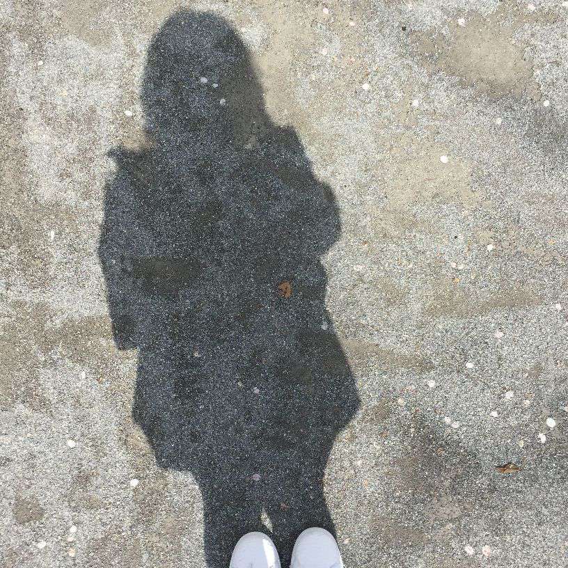 Everyoneisbored's  profile picture