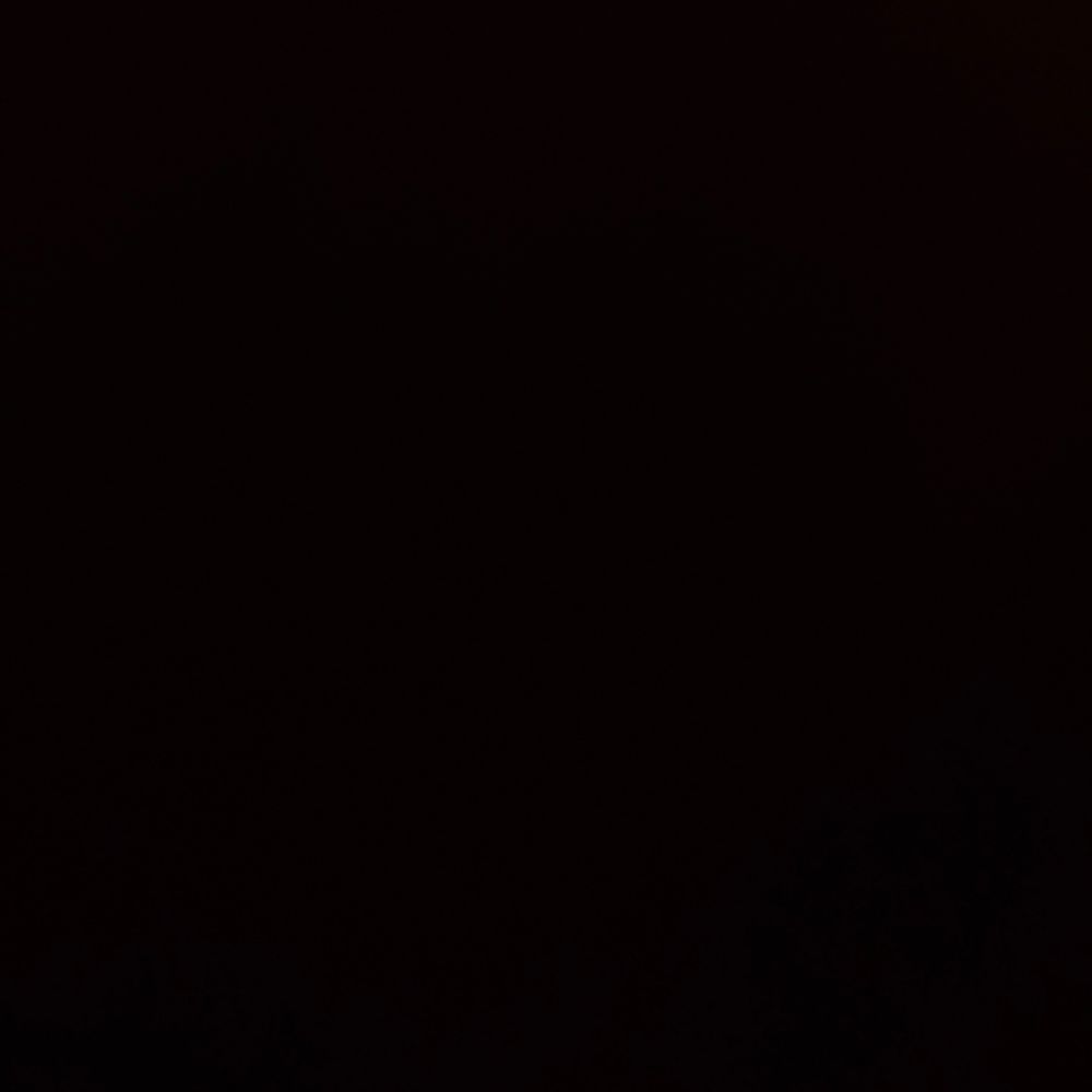 Lz.vmp22's  profile picture
