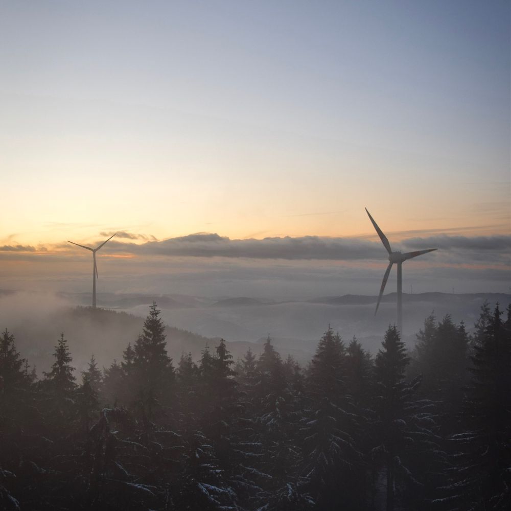 Seline47's profile photo