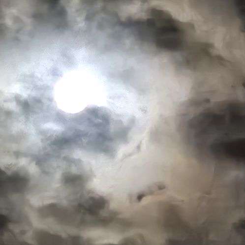 Jwiz264's profile picture
