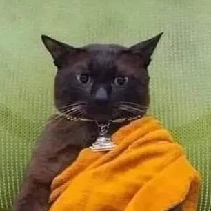 vompattisoturi's profile photo