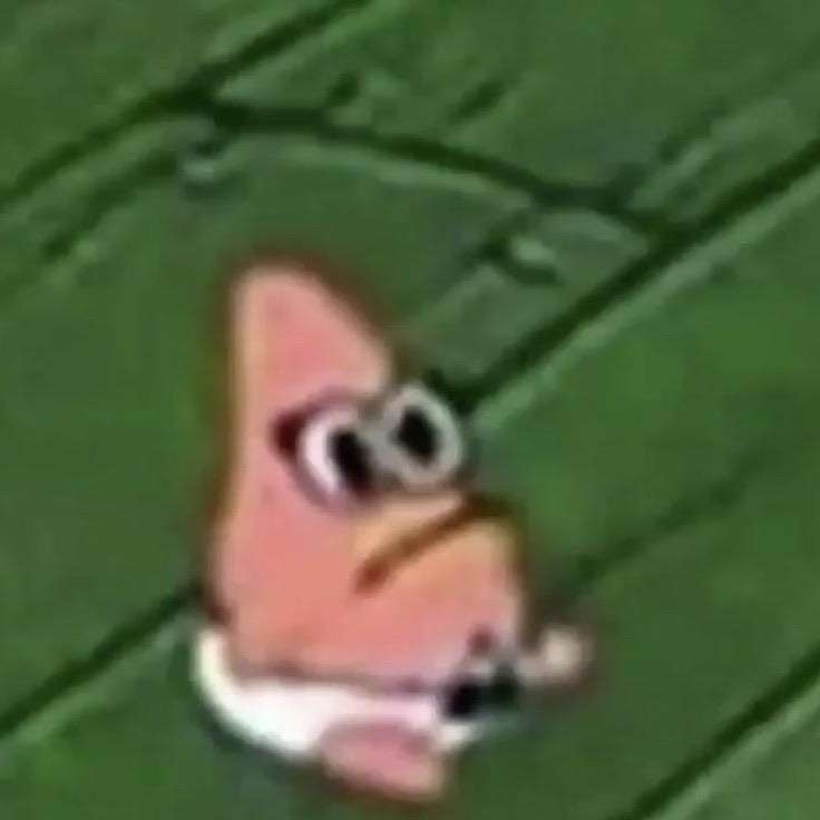 teatimevibes's profile picture