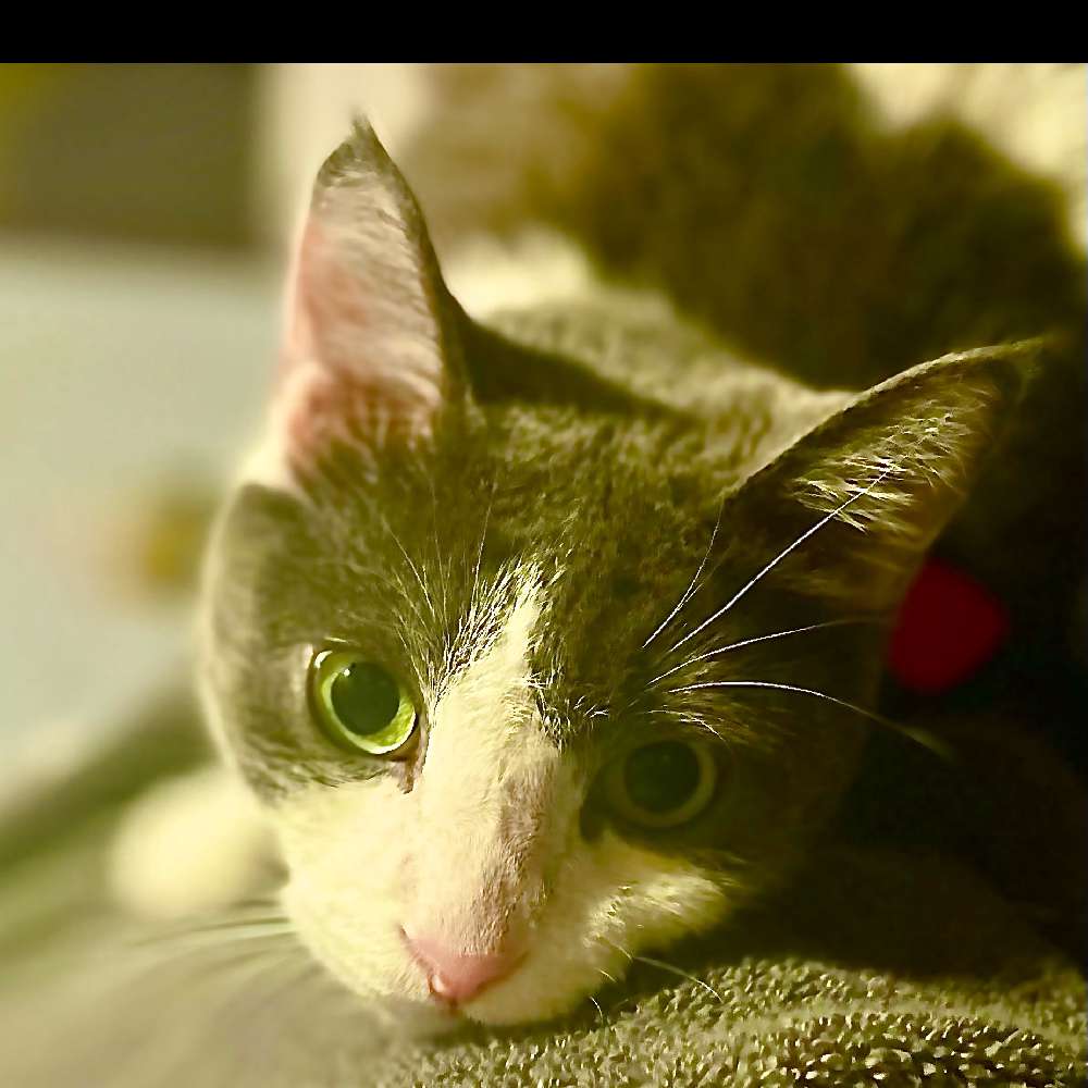 Nerdi.mommi1's  profile picture