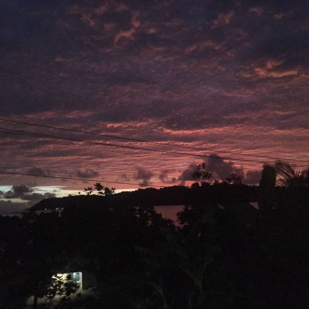 Pohnpei96942's  profile picture