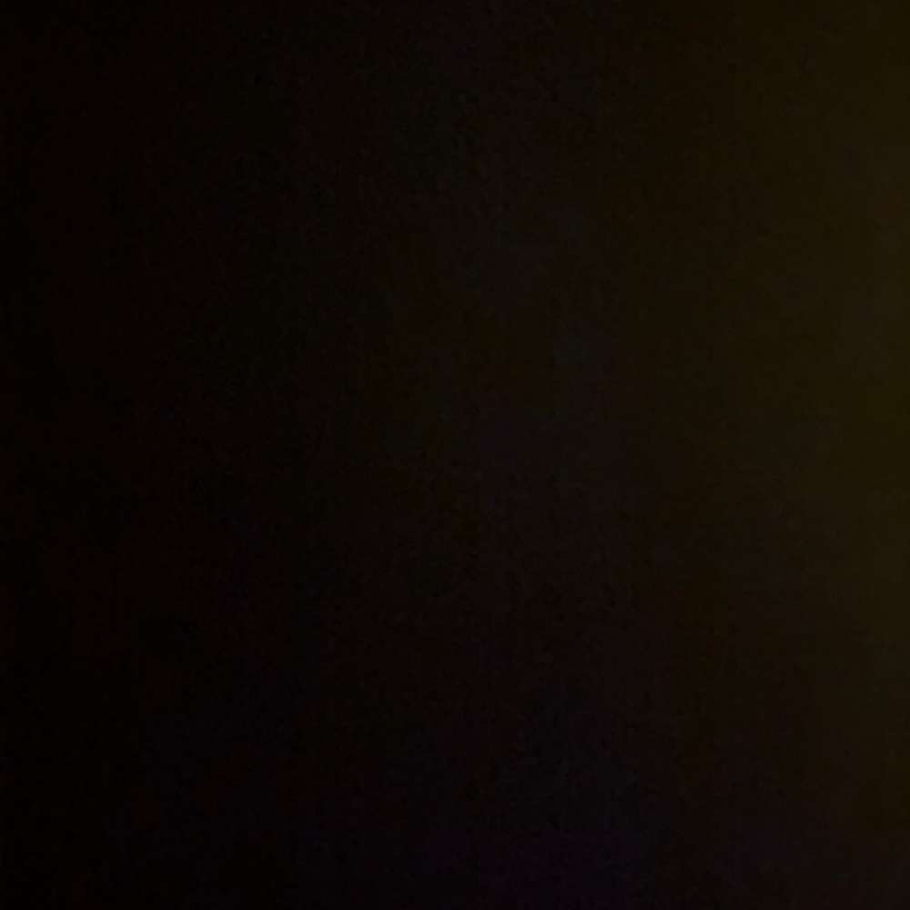 Nootkah's profile picture