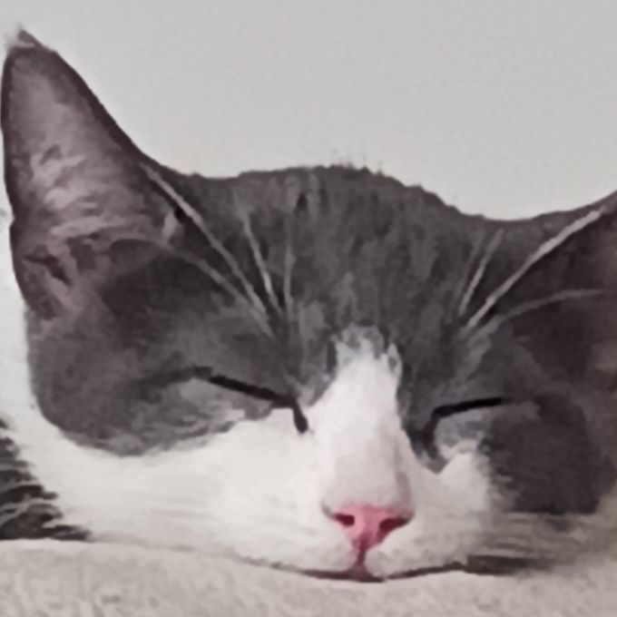 saladman030's  profile picture