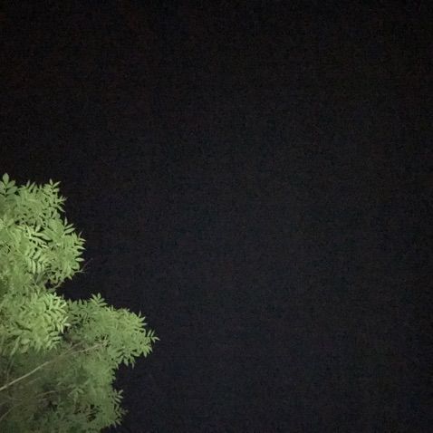 Ellodj3's  profile picture