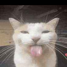 filkap123's  profile picture