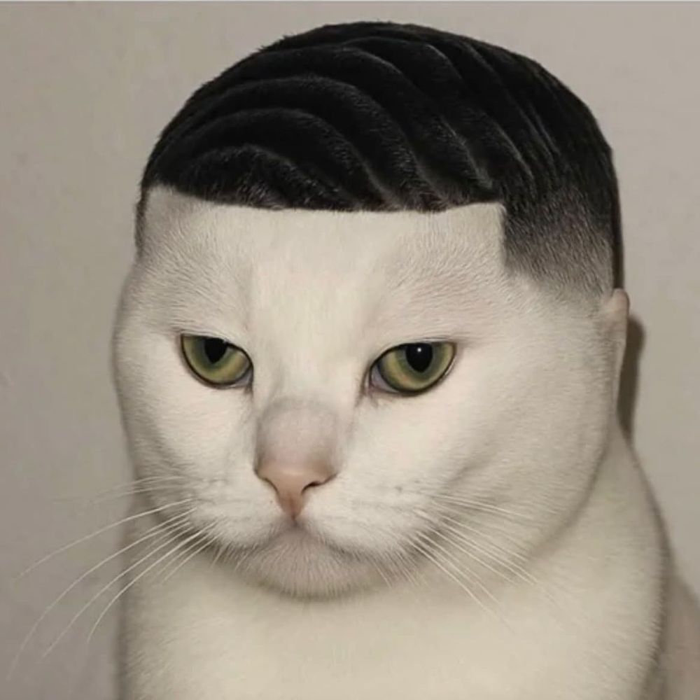 DMSS722's  profile picture