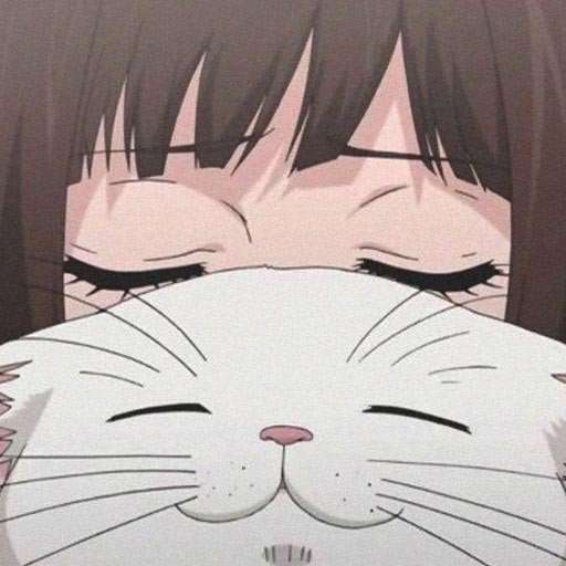 meowtt0's profile photo