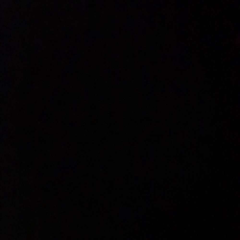 ohlookasquirell's profile photo