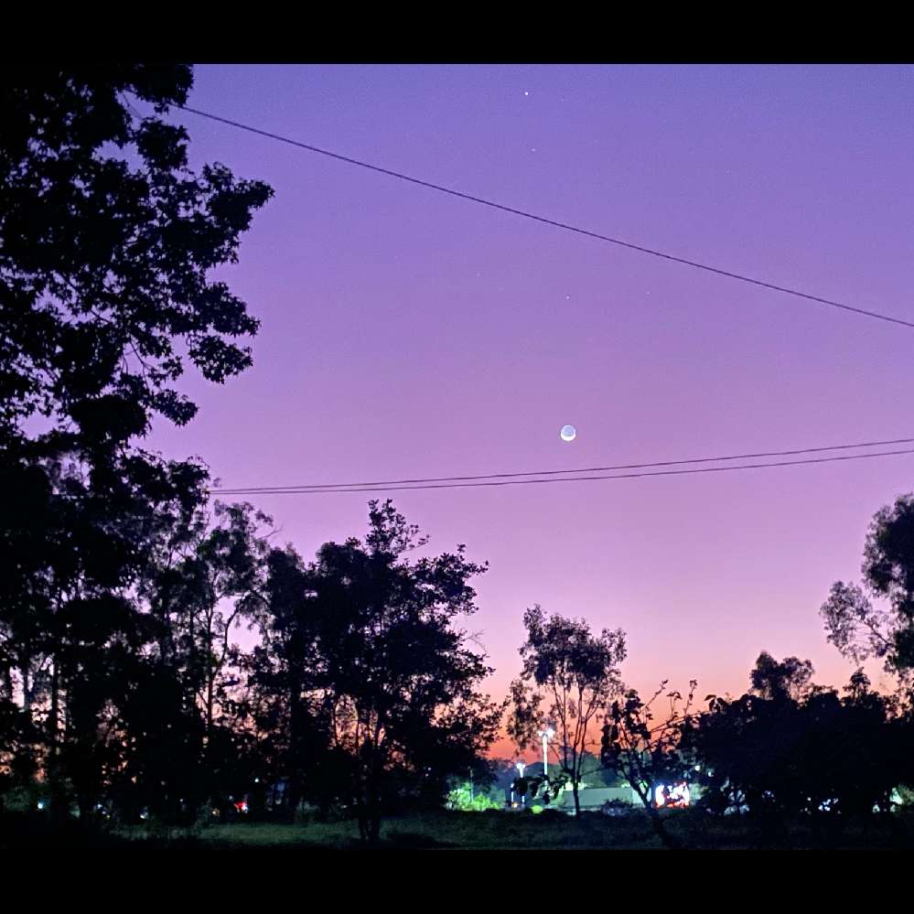 Lovesaturn10's profile picture