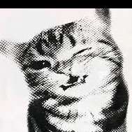 emmie.j11's profile picture