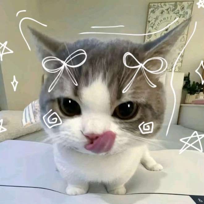 rosie_valentine16's profile photo