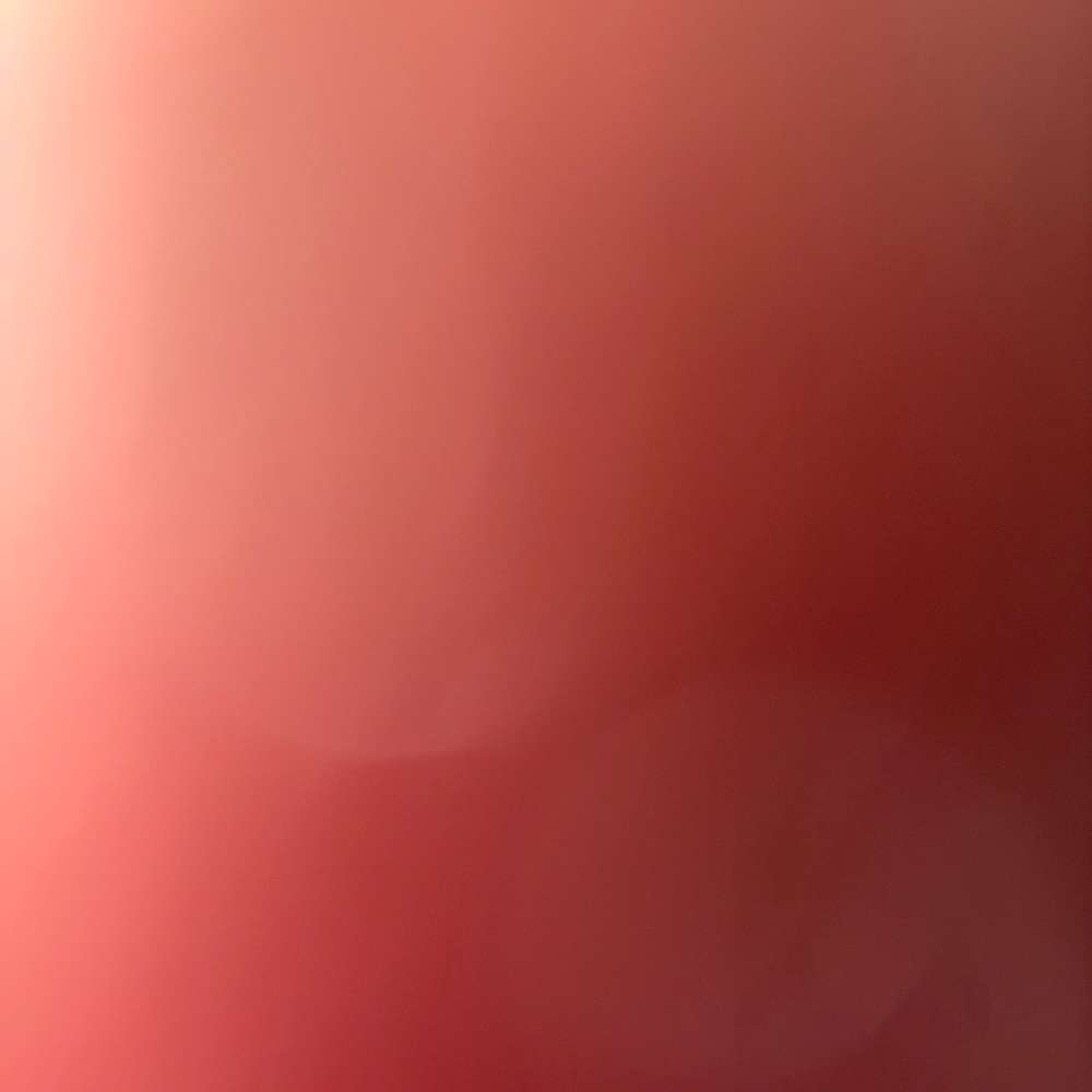 djeljutiu's profile photo