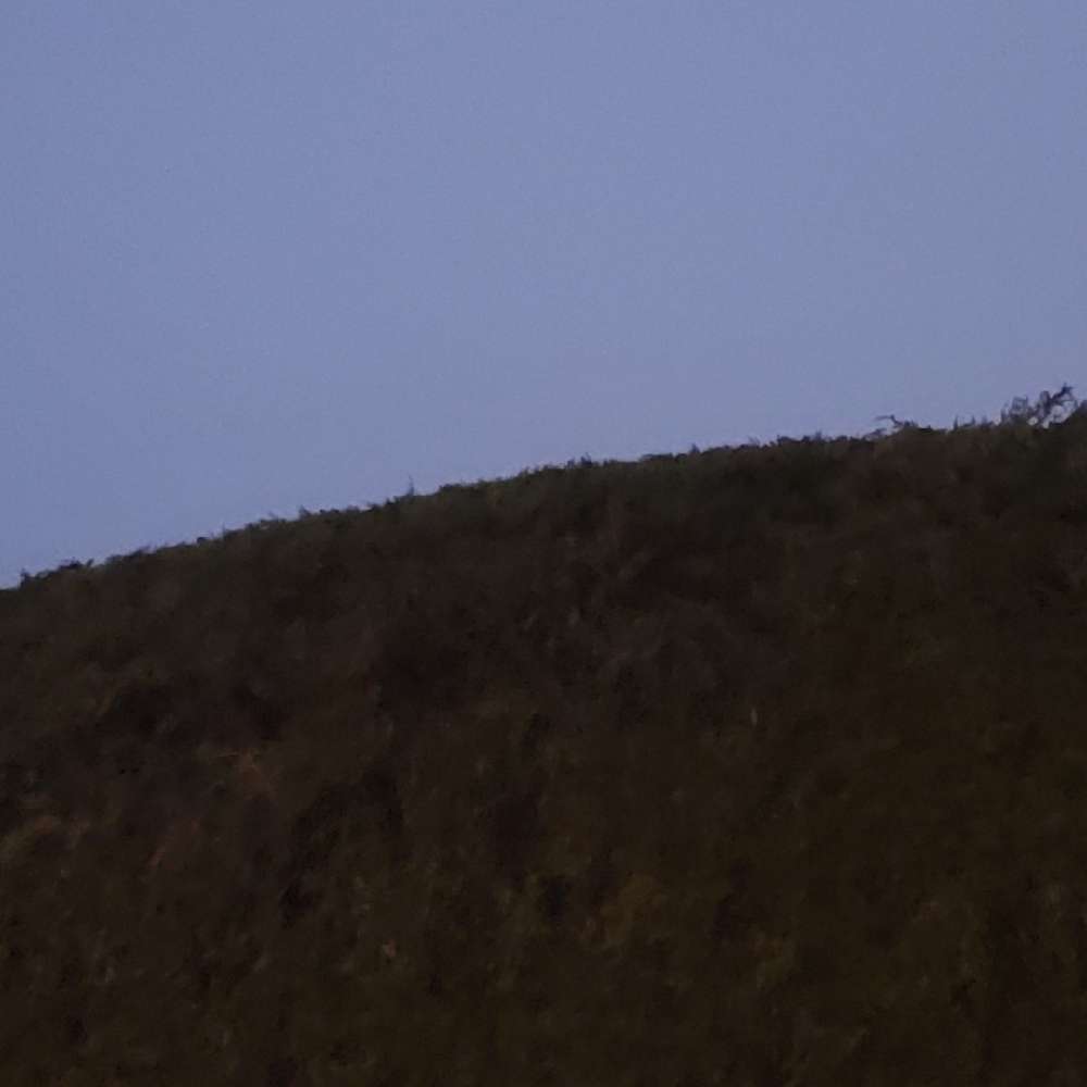 LTN4ev's profile photo