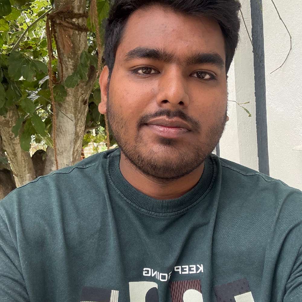 raulfia's  profile picture
