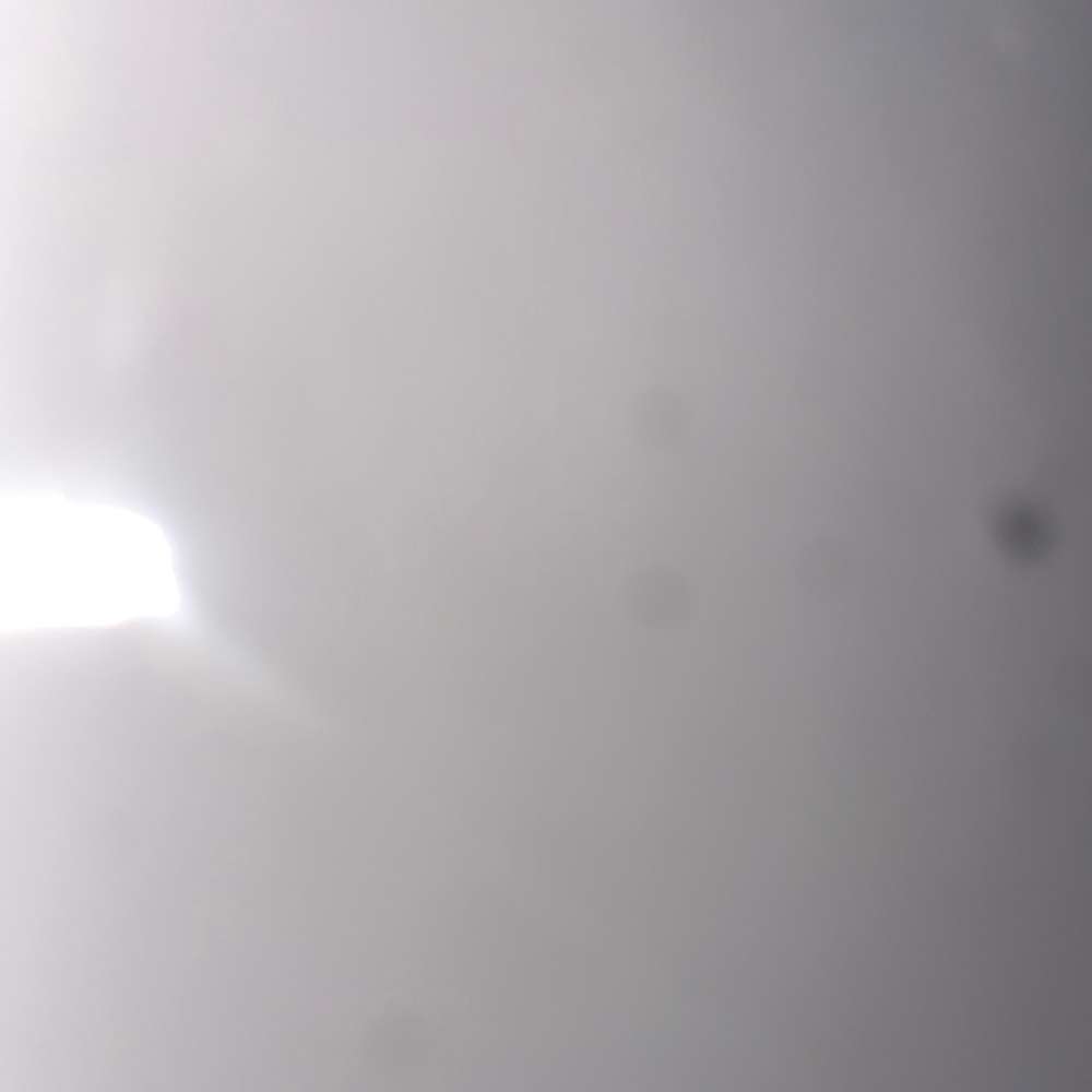 jdlsksh's profile photo