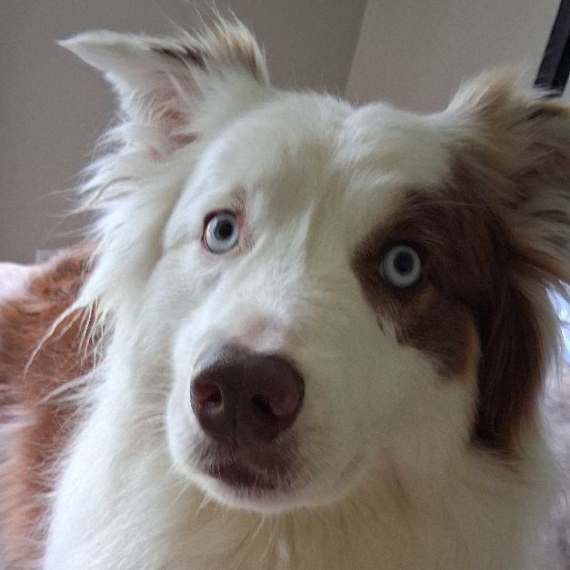 Dublippyfrog2's  profile picture