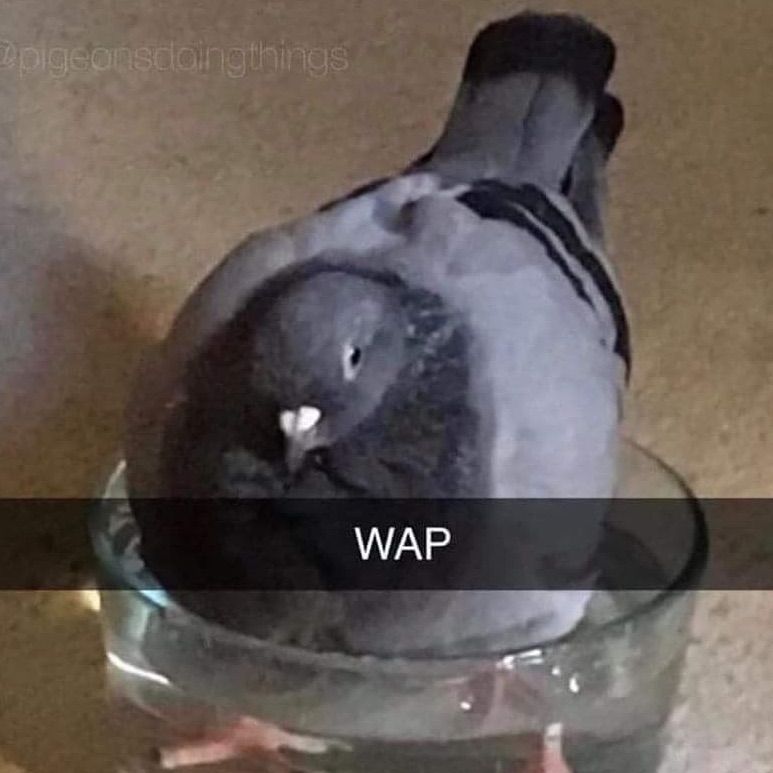 Squidy3288's profile picture