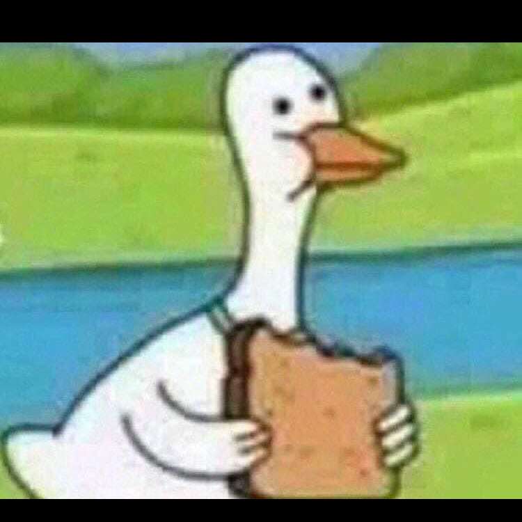 coolduckguy's  profile picture
