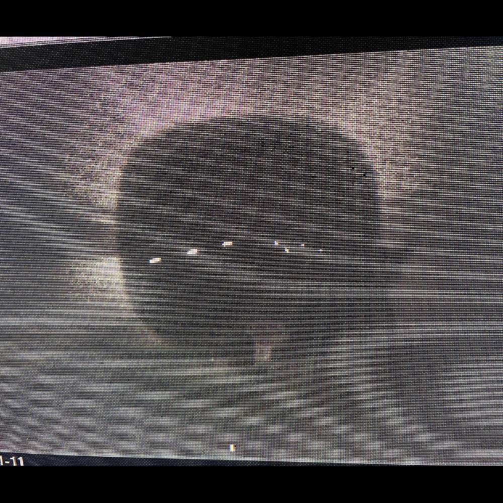 betterhightop's  profile picture