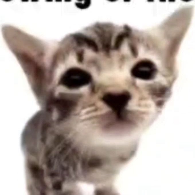 Carsonbored7's  profile picture