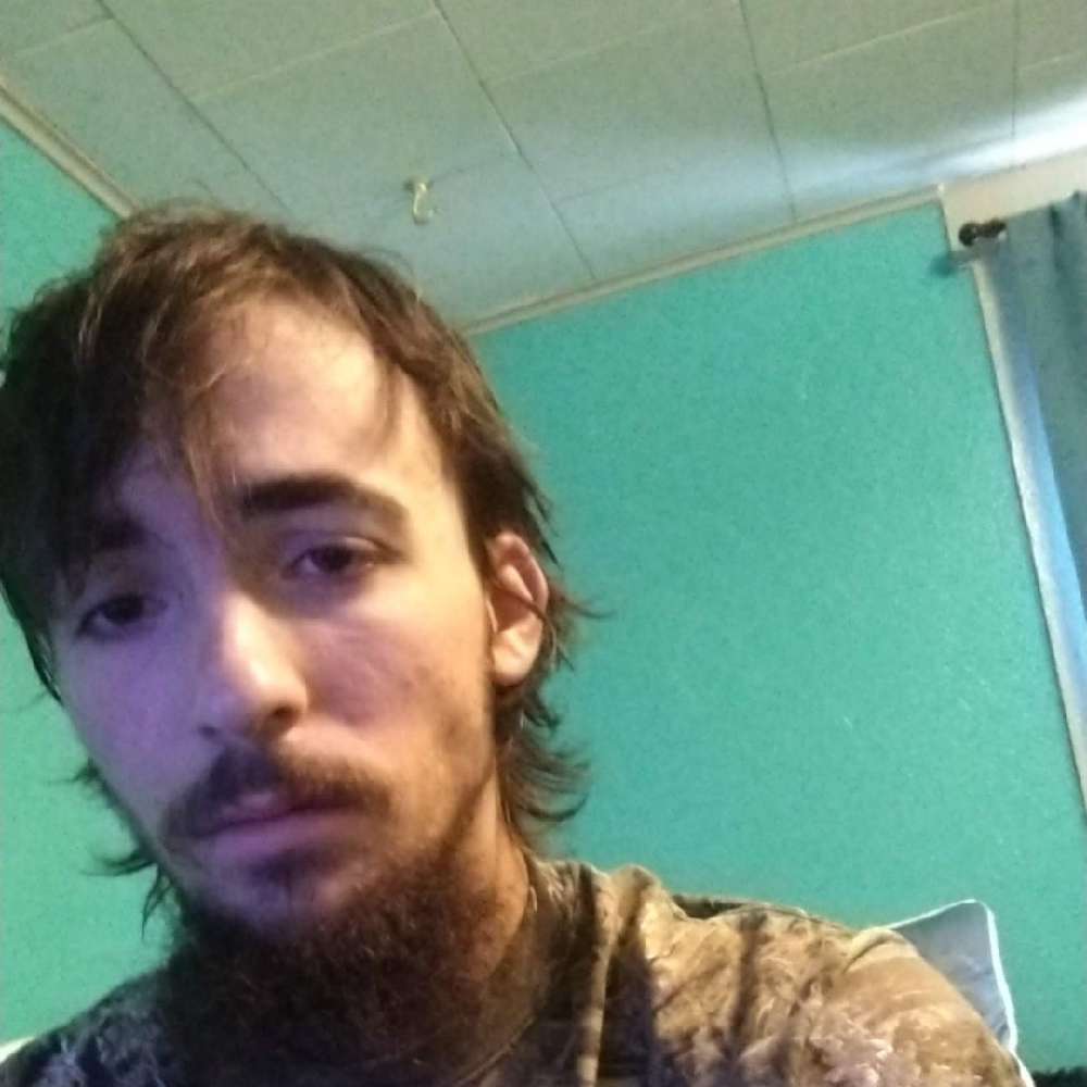 wolf199818's  profile picture