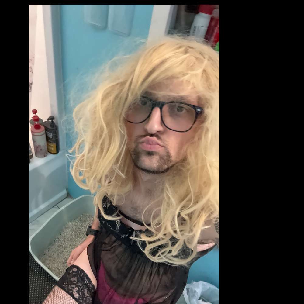 sidneythesissy's profile photo