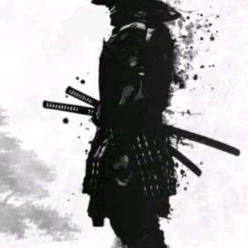 bourani233's  profile picture